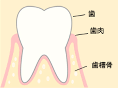 健康的な状態